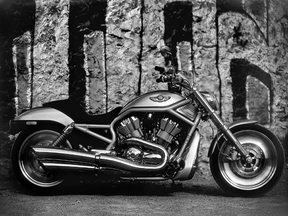 2003 harley deals davidson v rod